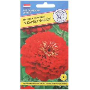 Цинния изящная «Скарлет флейм»