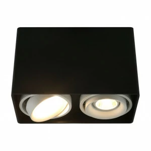 Потолочный светильник Arte Lamp A5655PL-2BK ARTE LAMP 5655 201311 Черный