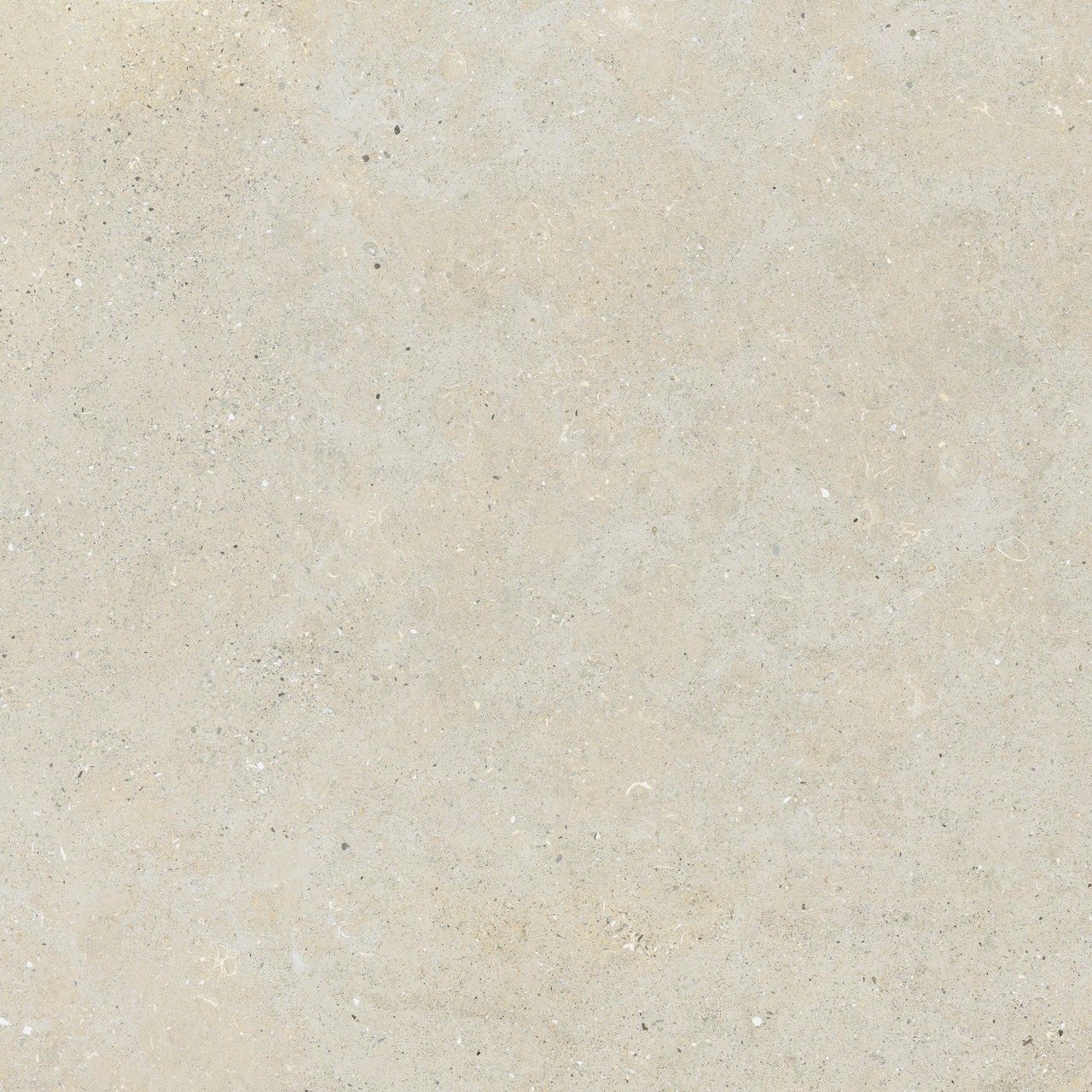 Пол / облицовка керамогранита с эффектом камня Fiandre сплошная ARCH-00064634 - Вид №15