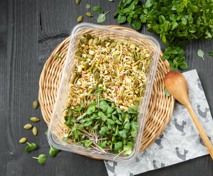 9718 Микс из проростков "Богатырь" Вкусляндия  - Вид №2