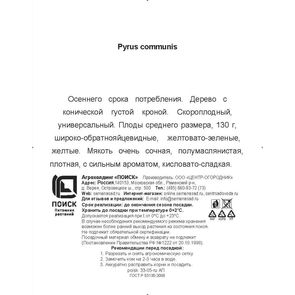 Груша обыкновенная Москвичка h200 см в сетке Поиск Инвест 84399334 STLM-2106647 Santreyd  - Вид №2