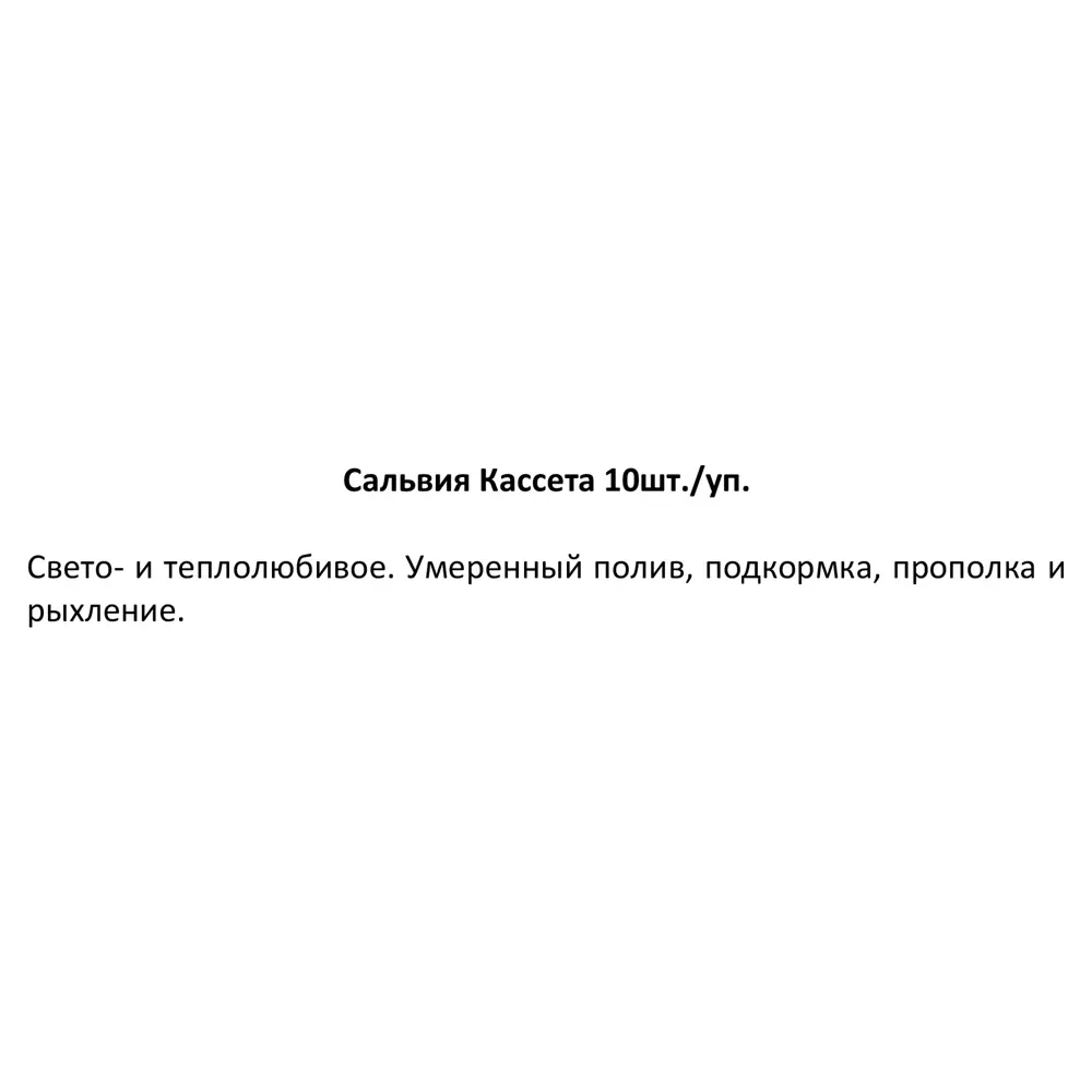 Рассада Сальвия h20 см, 10 шт. 83248327 STLM-2038759 Santreyd  - Вид №2
