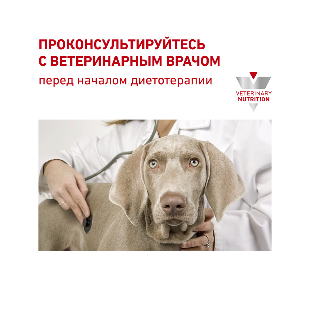 ПР0053540 Корм для собак Vet Diet Diabetic DS 37 при сахарном диабете сух. 12кг ROYAL CANIN  - Вид №8