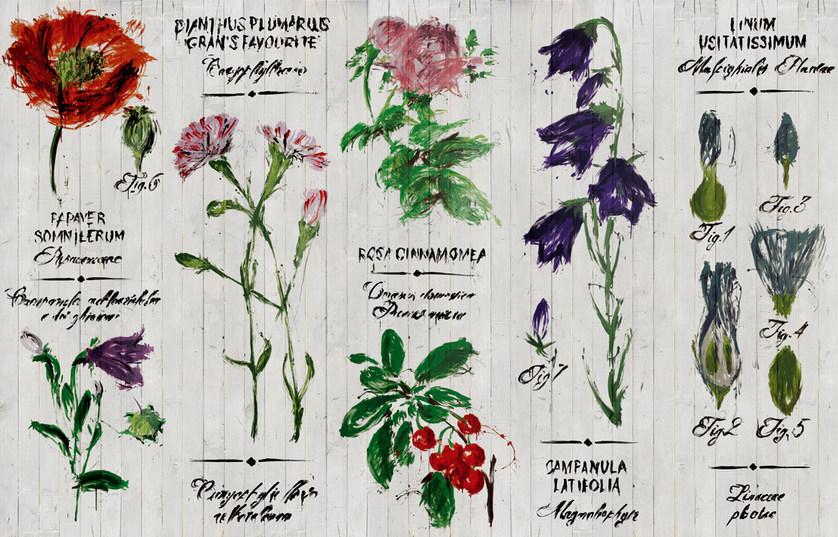 Wall&decò Обои с цветочным орнаментом и надписью Contemporary wallpaper 2015 sun-id-1385042 - Вид №1