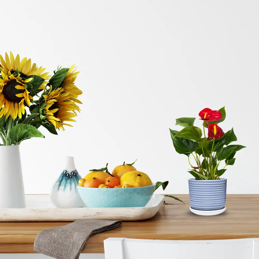 Santreyd Горшок «Спин» — керамический кашпо для комнатных растений 82836495 STLM-0036698 - Вид №2