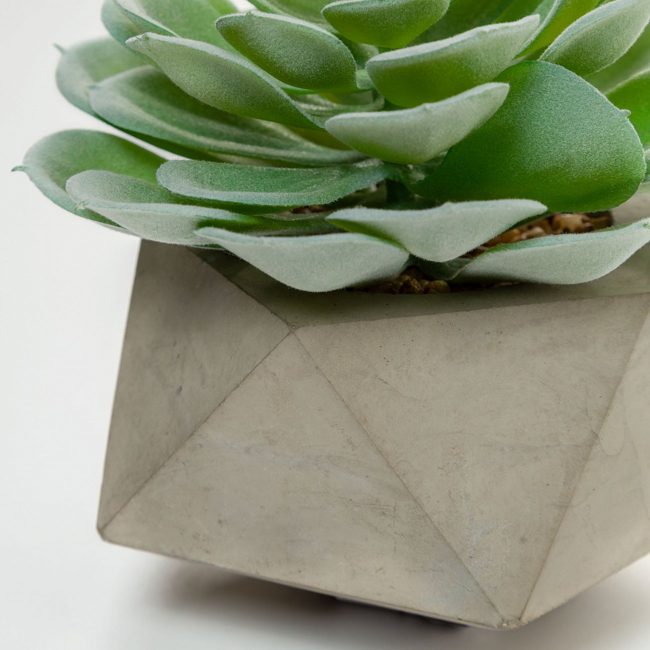 Цветок искусственный в горшке многоугольник Echeveria glauca от La Forma LA FORMA  342252  - Вид №1
