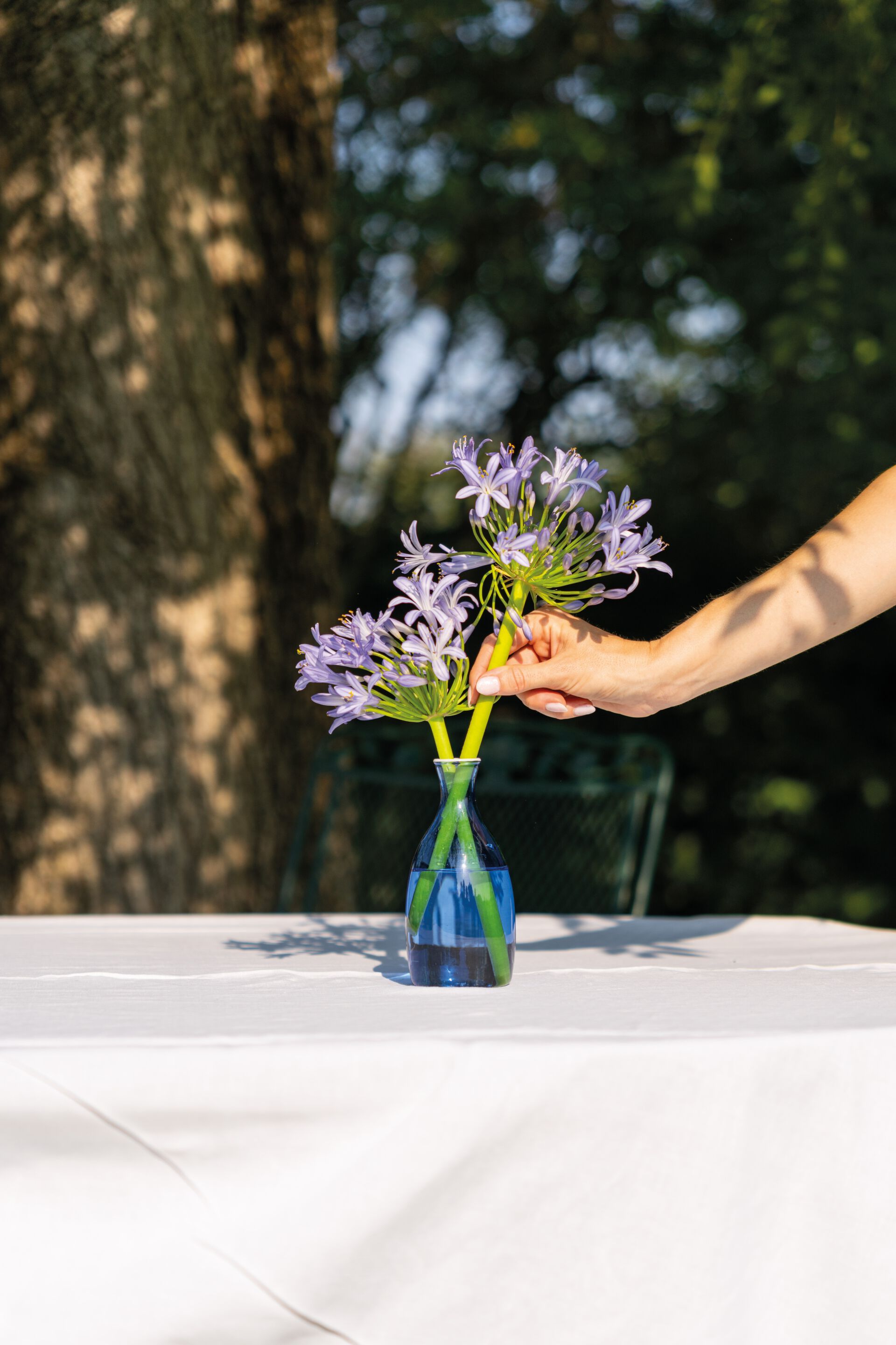 ВАЗа ручной работы из боросиликатного стекла Zafferano UN FIORE ARCH-00072102 - Вид №12
