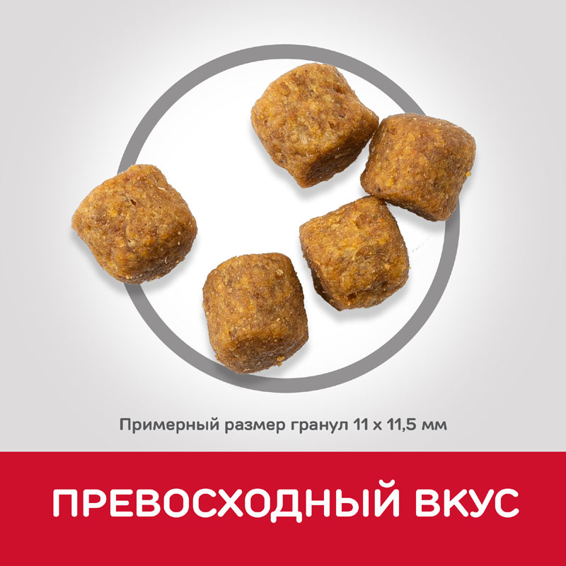 Т0055167 Корм для собак HILL"S Science Plan ягненок, рис сух. 12кг Hill's  - Вид №4