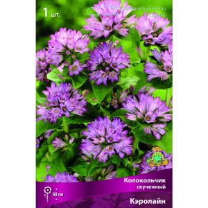 Колокольчик скученный Кэролайн 85205709 STLM-2201627