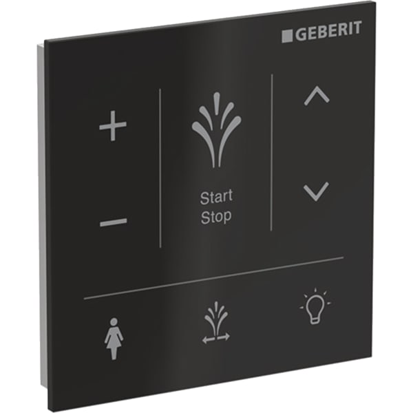 147.041.SJ.1 Настенная панель управления для Geberit AquaClean Sela Geberit 