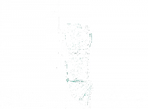 WILO Italia Завод по очистке и утилизации Sevio