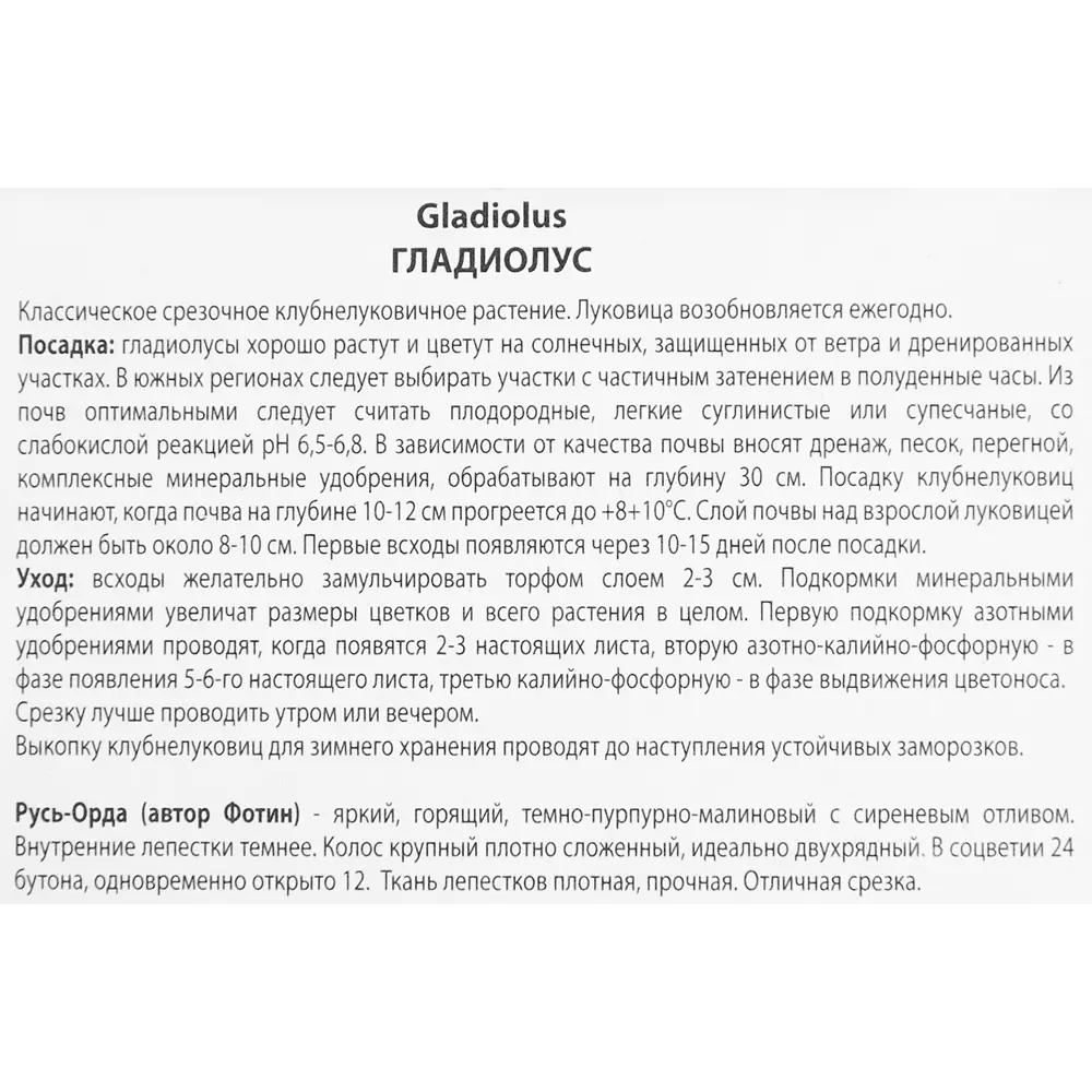 Гладиолус Русь-Орда, 3 шт 86410006 STLM-2050523 ПОИСК  - Вид №2