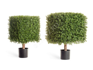 10.44702N Самшит квадрат уличный на каркасе Цветочная коллекция