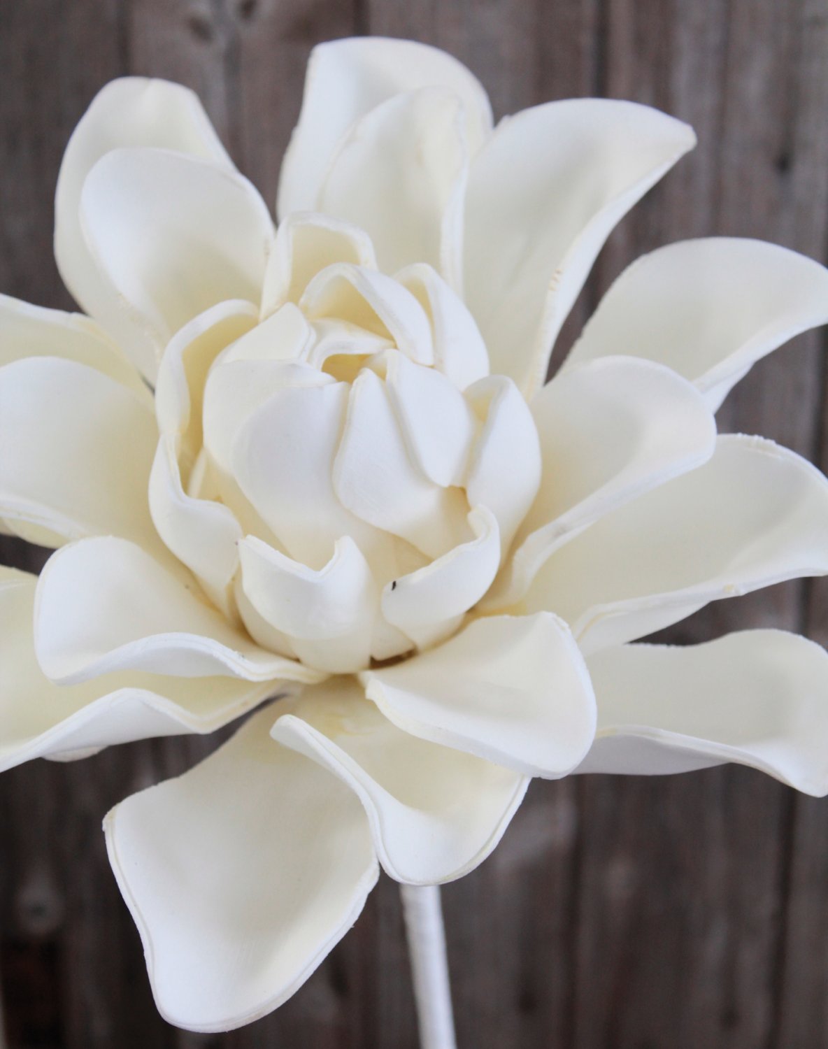 7921 777 a3 Искусственный мягкий цветок 'Blossom', 95 см, белый H-andreas  - Вид №2