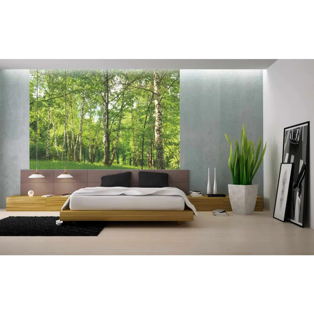 Фотообои Берёзовая роща бумажные 280x200 см Симфония Березовая роща STLM-2098723 - Вид №2