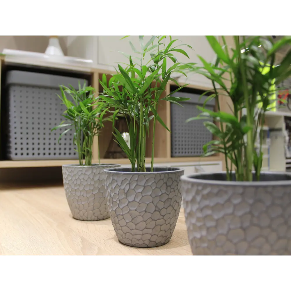 Santreyd Горшок «Манго» — бетонный кашпо с рельефной фактурой 82113274 STLM-0019382 - Вид №3