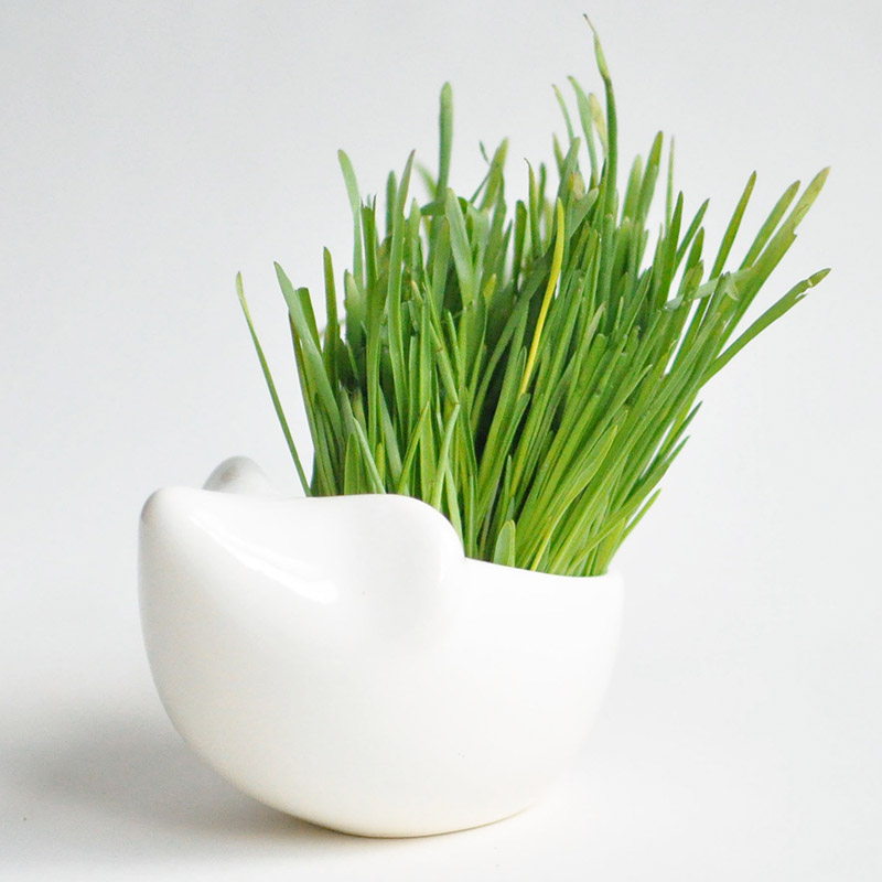 Набор для выращивания Eco Ёжик ЭКОЧЕЛОВЕКИ 3001 - Вид №2