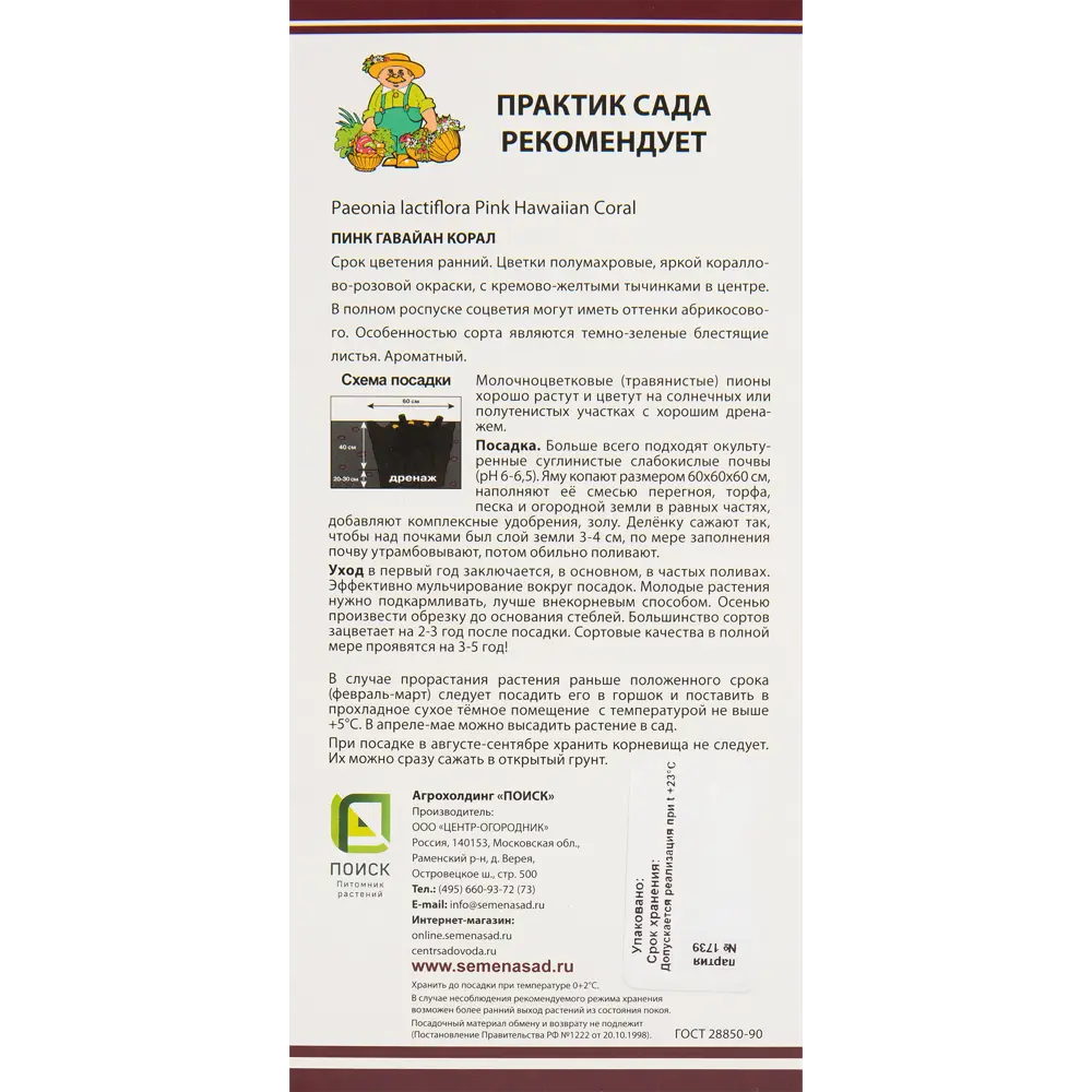 Пионы травянистые Пинк Гавайан Корал 82530292 STLM-2017203 Santreyd  - Вид №1