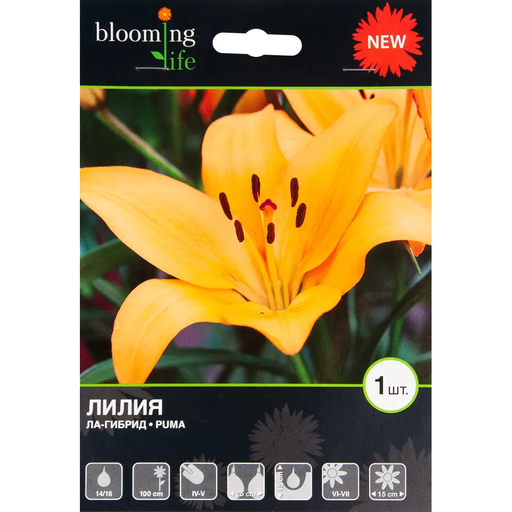 Лилия «Пума» 82539361 STLM-2098136 BLOOMING LIFE 