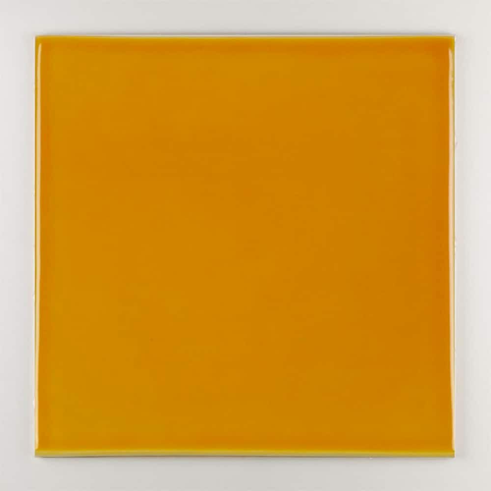 Пол / покрытие ручной работы La Riggiola одноцветный ARCH-00005067 - Вид №20