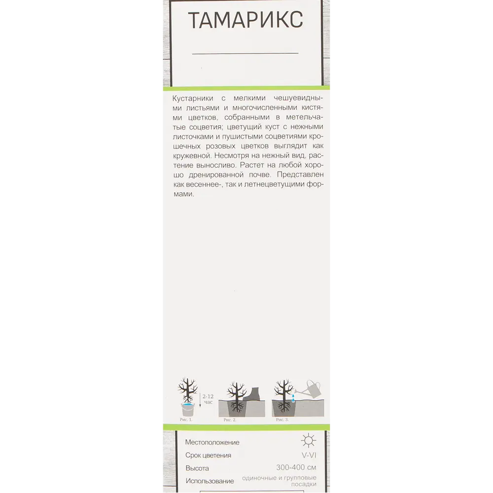 Тамарикс четырехтычинковый Африкана в тубе Поиск Инвест 82150754 STLM-2050531 Santreyd  - Вид №1