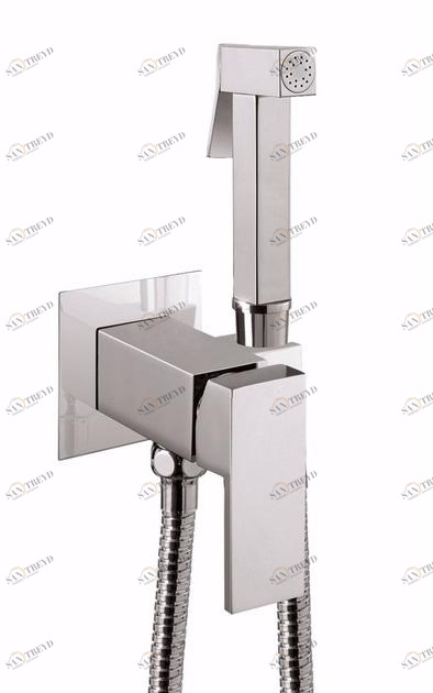 Rubinetteria Giulini Встраиваемый однорычажный смеситель для биде Pablolux Fsh20p