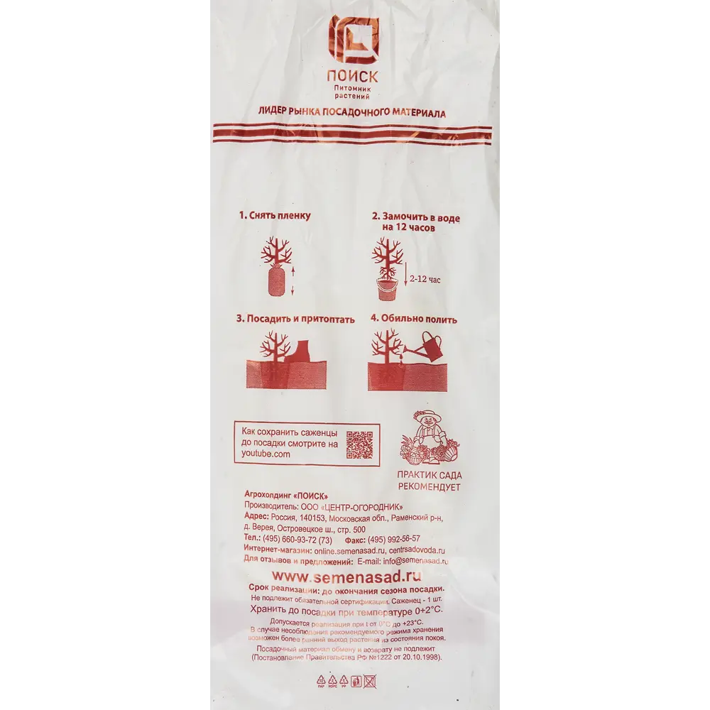 Яблоня Жигулевское h90 см 83791274 STLM-2133052 Santreyd  - Вид №4