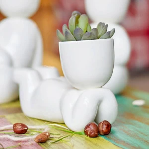 Набор для выращивания eco "Мечтатель" ЭКОЧЕЛОВЕКИ  254576 Белый