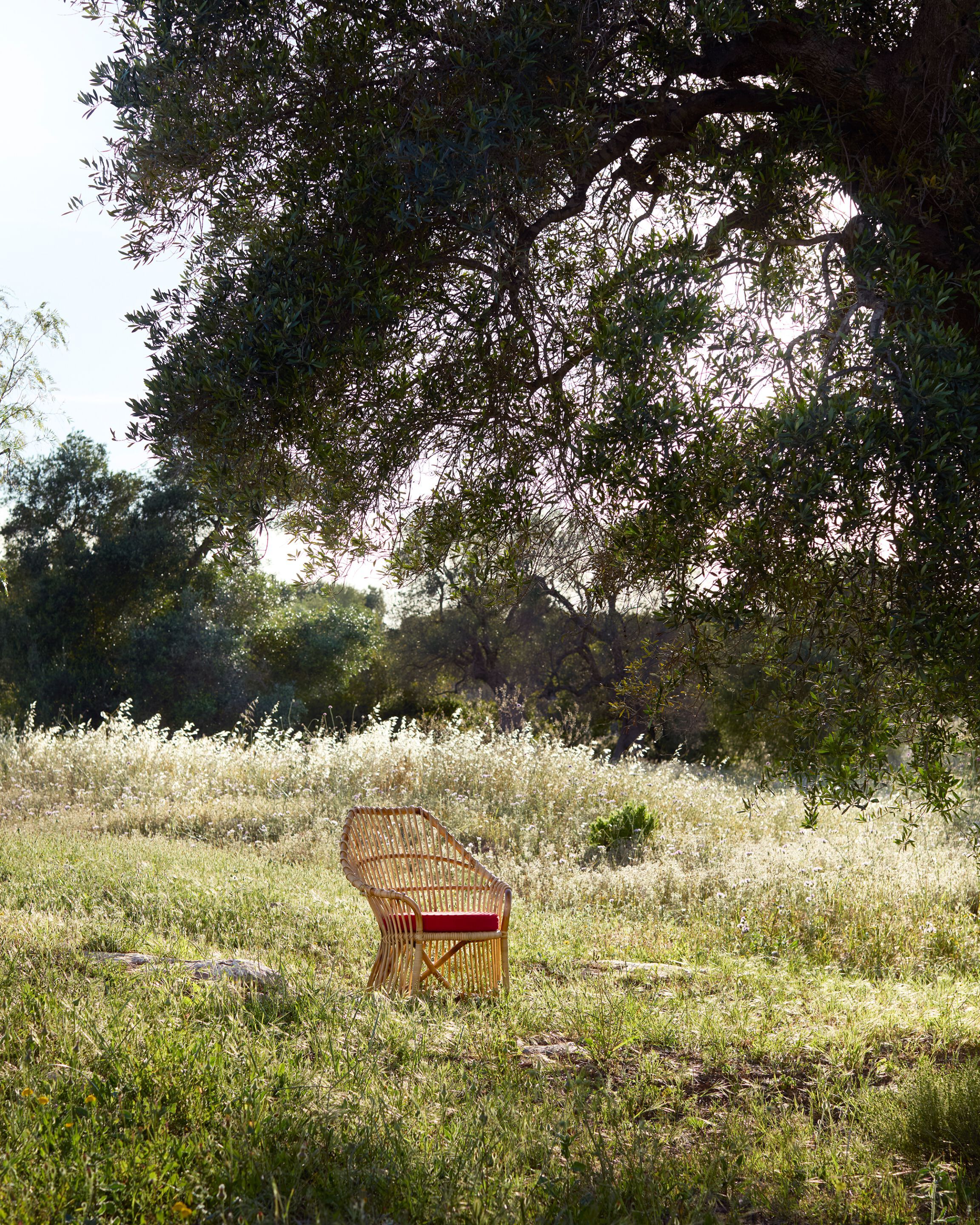 Ротанг стул Exteta Мартингейл ARCH-00036660 - Вид №5