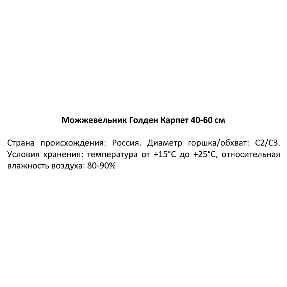 Можжевельник горизонтальный Голден Карпет ø19 см h40-60 см 85088147 STLM-2073134 Santreyd  - Вид №2