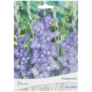 Гладиолус крупноцветковой «Блу Айл» 81945433 STLM-2035248