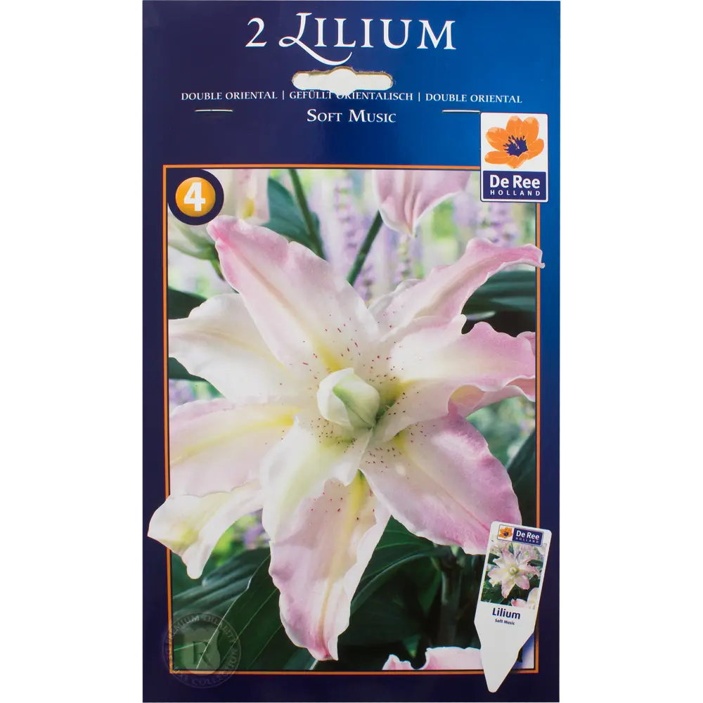 Лилия восточная махровая «Софт Мьюзик» 82120089 STLM-2074106 Santreyd 