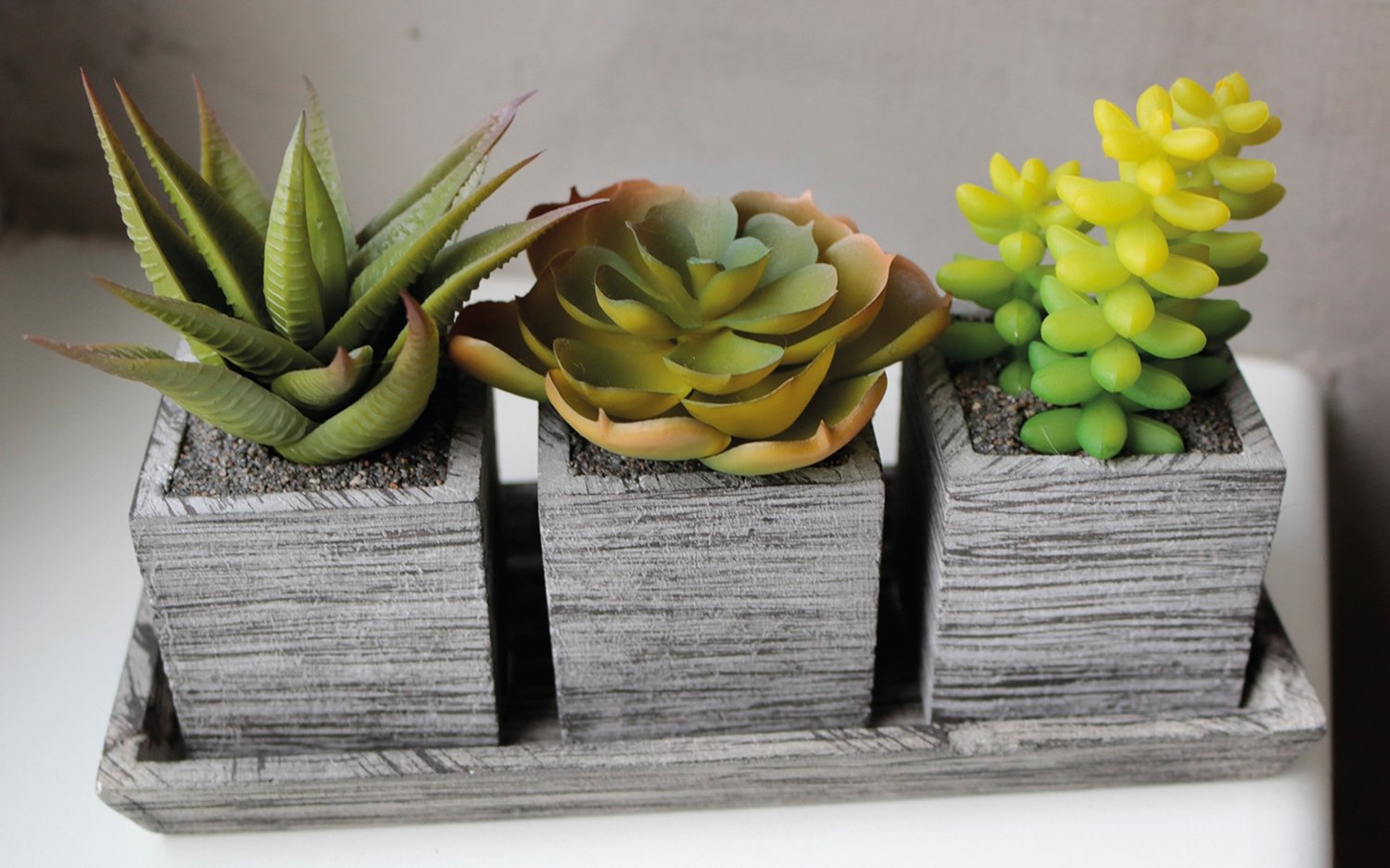 6453 883 a3 Пластиковый микс суккулентов, 3 штуки на миске, 19 x 7 x 11 см, зеленый H-andreas  - Вид №3