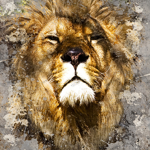 D1-029 Фотообои DIVINO Collection D 2.7х2 м D1029