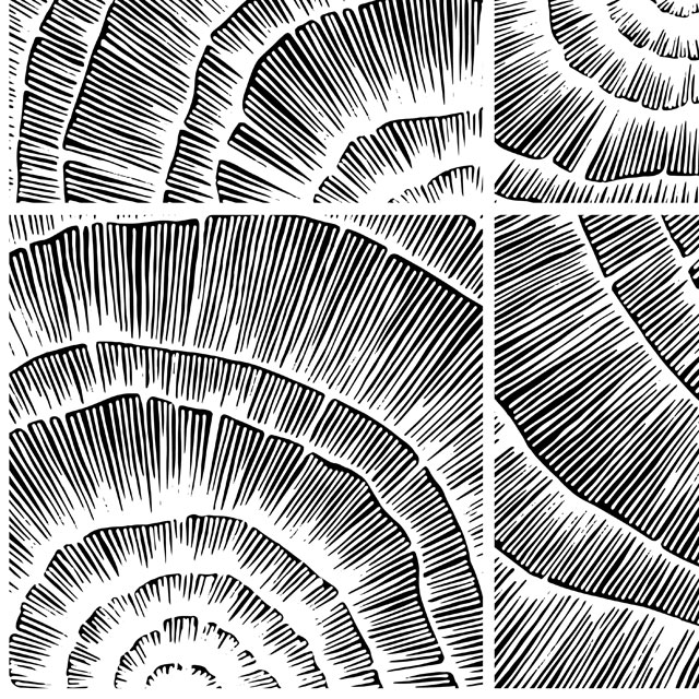 Стеновые панели - Шелл лайт