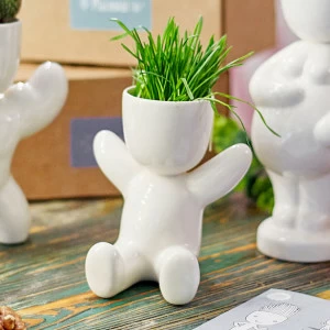 Набор для выращивания eco "Малыш" ЭКОЧЕЛОВЕКИ  254573 Белый