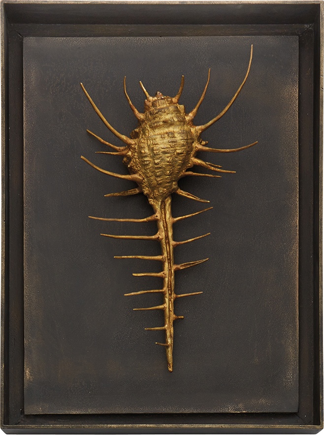 10600351 Michael Aram Панно Michael Aram "Гребень Венеры" 26х35см (золотистое) Латунь 