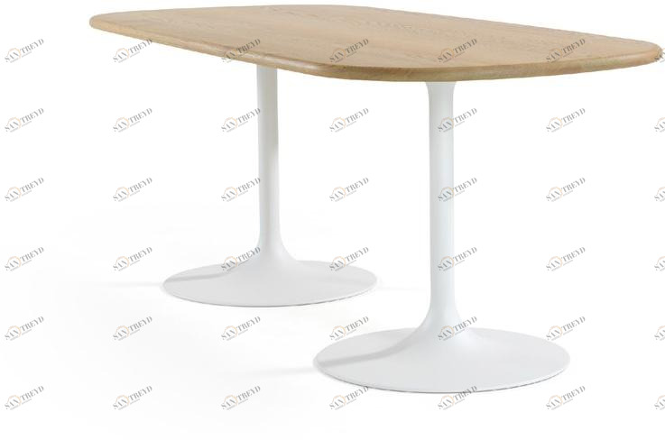 Artifort Овальный обеденный стол Clarion sun-id-1422698