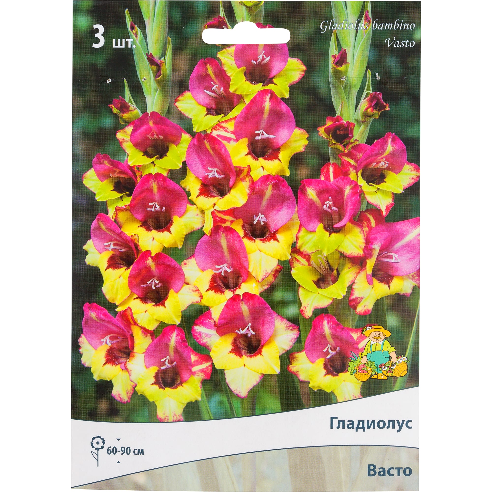 82118690 Гладиолусы бамбино «Васто», размер луковицы 10/12, 1 шт Santreyd 