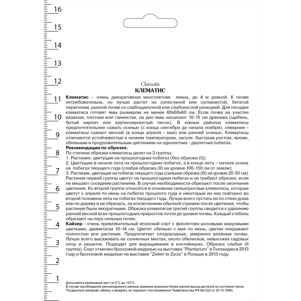 Клематис крупноцветковый Кайзер в капере 82527442 STLM-2155425 Santreyd  - Вид №1