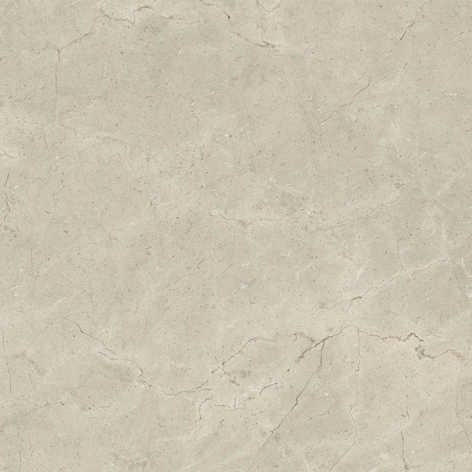 Пол / облицовка керамогранита с эффектом камня Italgraniti Calcis ARCH-00112215 - Вид №57