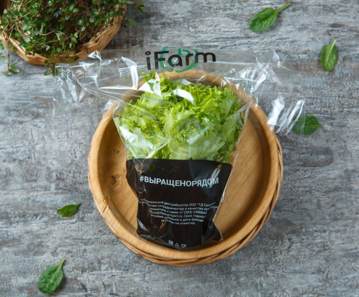 7406 Салат "Фриссе" в горшочке Выращено Рядом (iFarm) Вкусляндия  - Вид №2