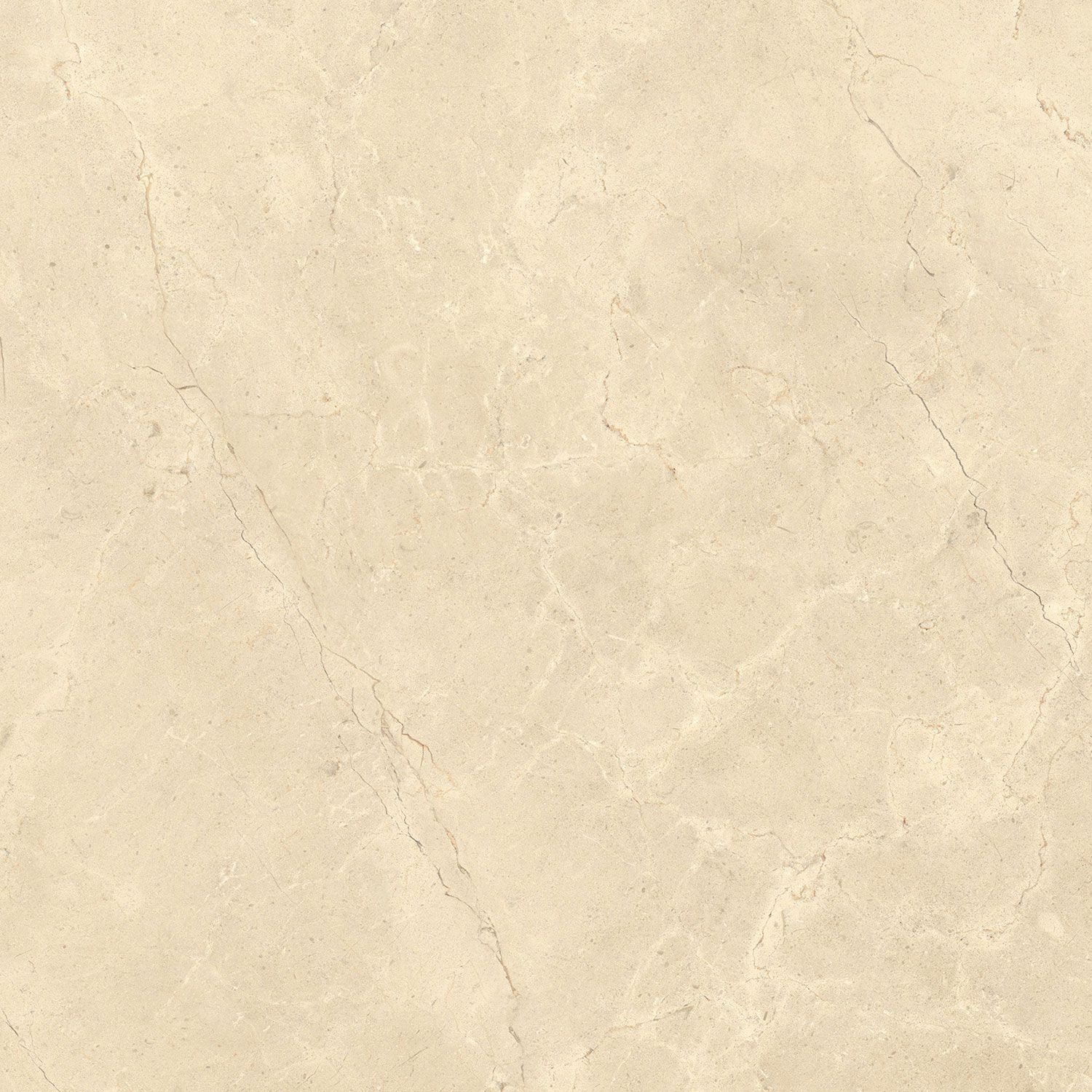 Пол / облицовка керамогранита с эффектом камня Italgraniti Calcis ARCH-00078048 - Вид №15