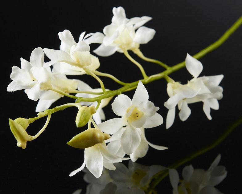 VGnewtrend Искусственное растение из полиэстера  1001663.95  - Вид №1