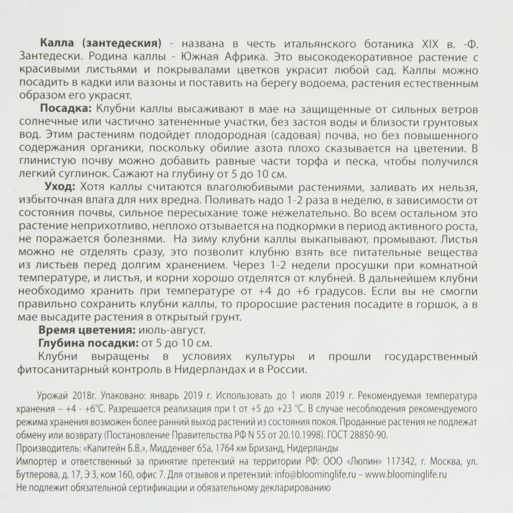 Калла Каптейн Сафари 14/16, 2 шт 82120097 STLM-2099476 BLOOMING LIFE  - Вид №2