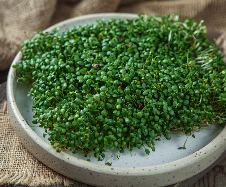 4686 Микрозелень клевера Вкусляндия  - Вид №1