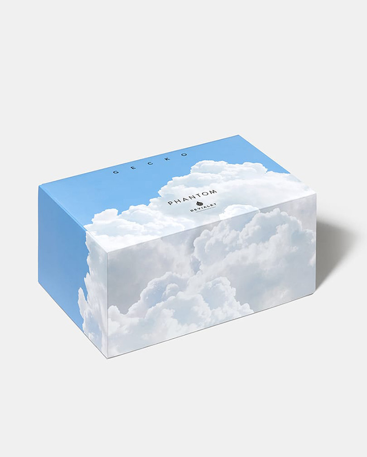 Крепление настенное Gecko для Phantom Devialet YV710 - Вид №3