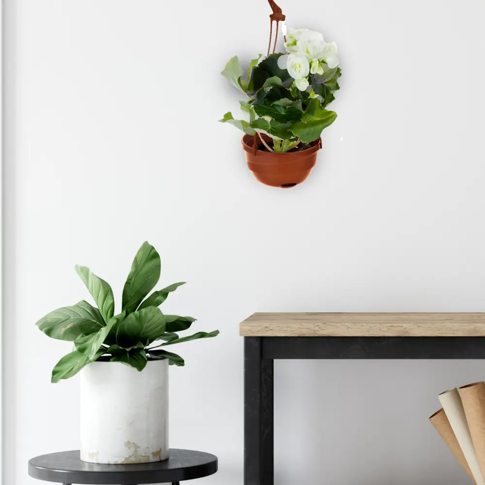 Santreyd Подвесной цветочный горшок «Мальва» 4,7 л терракотовый 18009265 STLM-0009226 - Вид №4