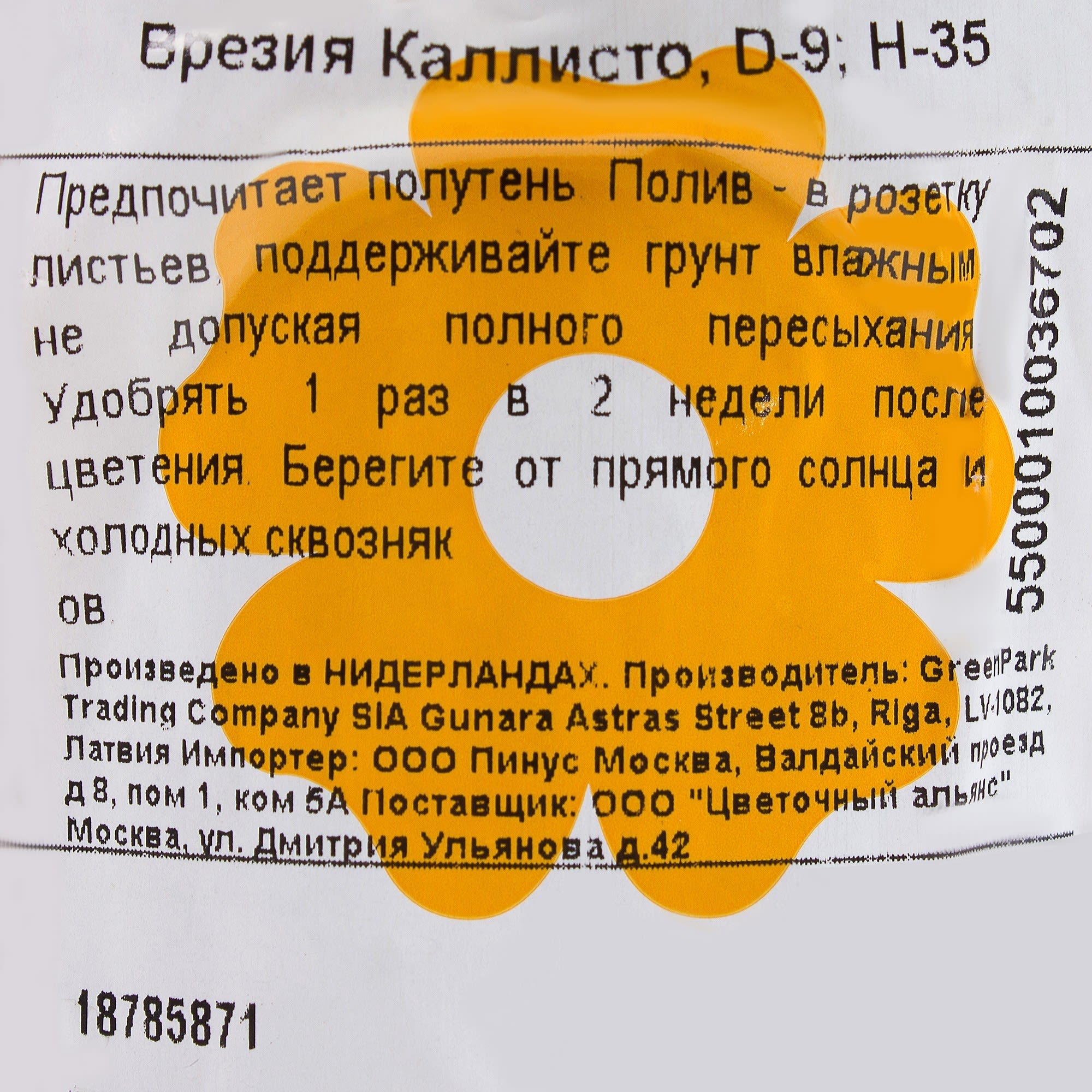 18785871 Вриезия «Каллисто» D9 H35 Santreyd  - Вид №2