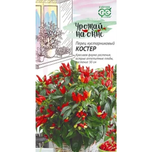 Семена перца кустарникового Костер Гавриш для домашнего выращивания 89401751
